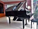 Elegant living room with a grand piano