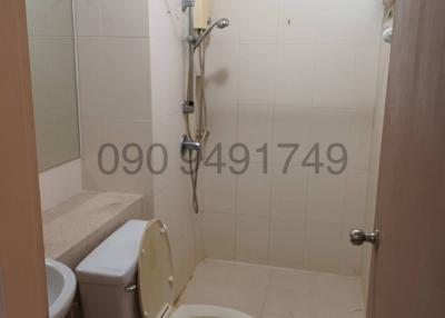 Compact bathroom with shower and toilet