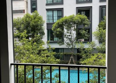 View from balcony showcasing nearby building and a swimming pool surrounded by trees