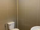 Bright tidy bathroom with toilet and bidet