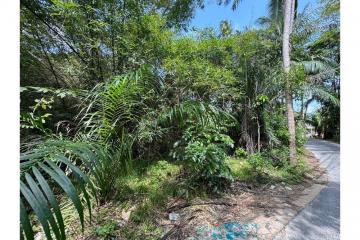 Rare Opportunity: Land for Sale in Chaweng, Koh Samui - 920121001-1958
