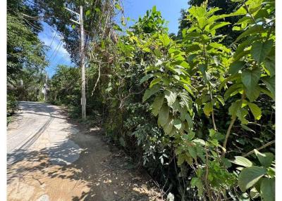 Rare Opportunity: Land for Sale in Chaweng, Koh Samui