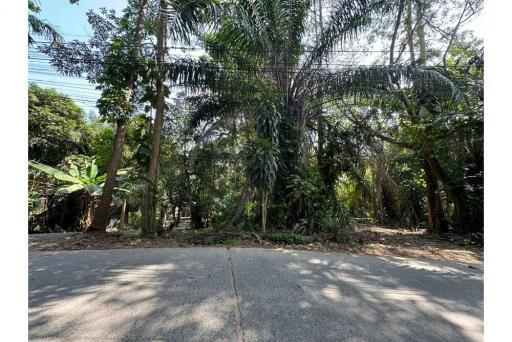 Rare Opportunity: Land for Sale in Chaweng, Koh Samui - 920121001-1958