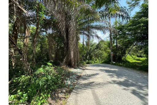 Rare Opportunity: Land for Sale in Chaweng, Koh Samui - 920121001-1958