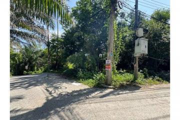 Rare Opportunity: Land for Sale in Chaweng, Koh Samui