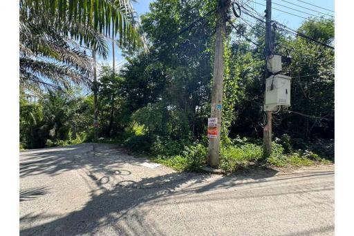 Rare Opportunity: Land for Sale in Chaweng, Koh Samui - 920121001-1958