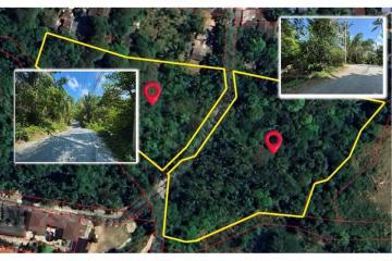 Rare Opportunity: Land for Sale in Chaweng, Koh Samui - 920121001-1958