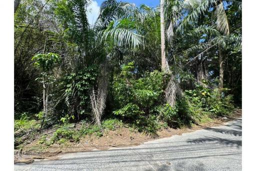 Rare Opportunity: Land for Sale in Chaweng, Koh Samui