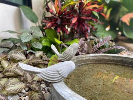 Decorative bird sculpture with surrounding plants in an outdoor patio area