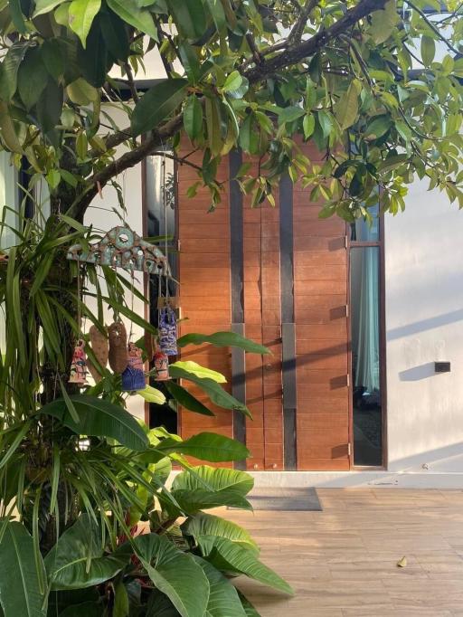 Modern home entrance behind lush greenery