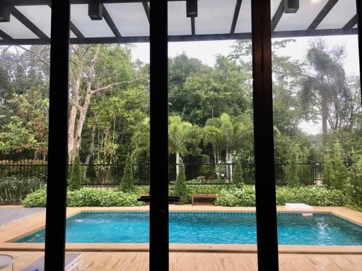 View from a house showcasing the pool and garden surrounded by lush greenery through large glass windows