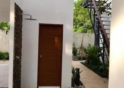 Modern home entrance with a stylish wooden door and landscaped path