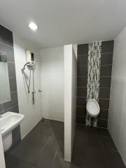 Modern bathroom with walk-in shower, toilet and sink