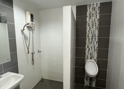 Modern bathroom with walk-in shower, toilet and sink