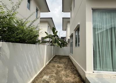 Narrow side yard of a residential house with partial greenery and potential for landscaping