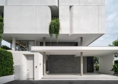 Modern architectural design of a residential building with green plants