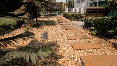 Paved pathway in a serene garden with lush greenery