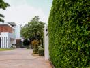 Modern house facade with lush green hedge and landscaped gate entrance