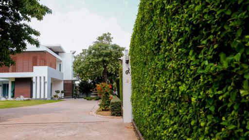 Modern house facade with lush green hedge and landscaped gate entrance