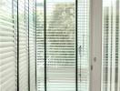 Modern building hallway with glass door and venetian blinds