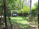 Lush green backyard with trees and swing
