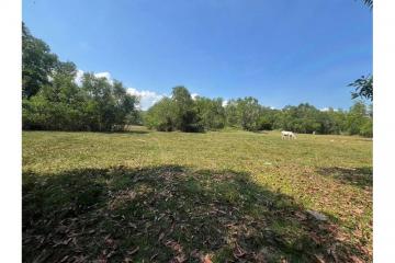 Land For Sale Surrounded Natural Near The Beach - 920121030-192