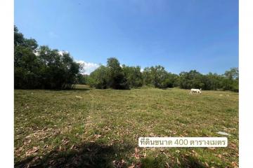 Land For Sale Surrounded Natural Near The Beach - 920121030-192