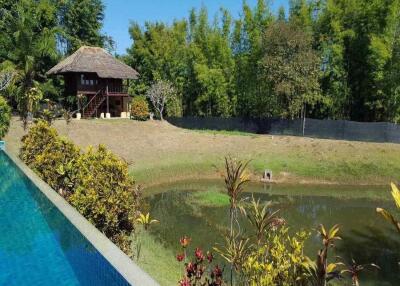 Chiang Mai Real Estate Resort for Sale, Tranquil Oasis with Land