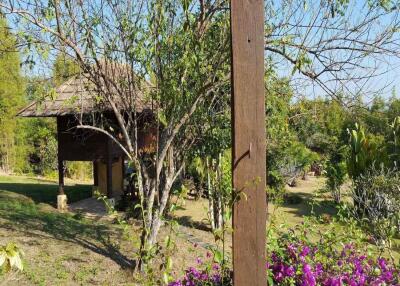 Chiang Mai Real Estate Resort for Sale, Tranquil Oasis with Land