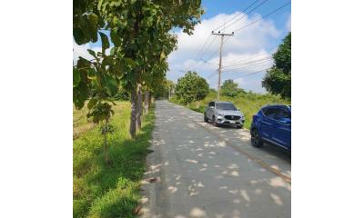 10 Rai land in San Kamphaeng, Chiang Mai, Thailand, available for just 2,500,000 baht/rai. Direct access from the main road, 162m wide frontage.