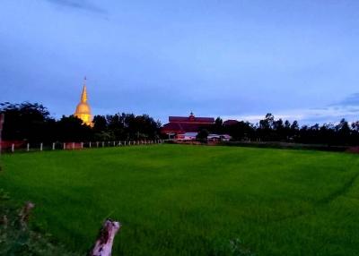Lush green lawn with a distant view of a building and a prominent golden spire against a dusky sky