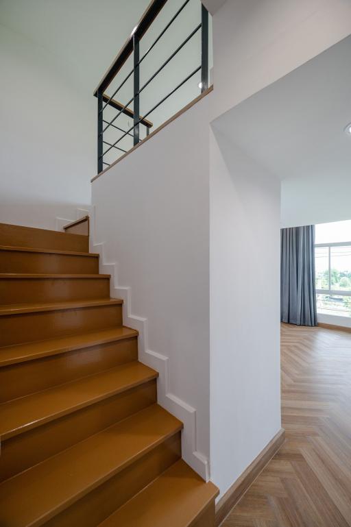 Modern staircase with wooden steps leading to the upper floor of a house