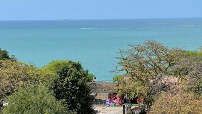 Scenic ocean view with lush trees and people enjoying the outdoors