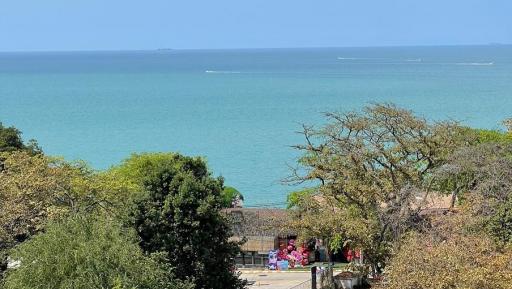 Scenic ocean view with lush trees and people enjoying the outdoors