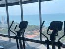 High-rise gym with panoramic sea views and cardio equipment