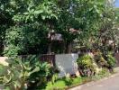 Lush greenery surrounding a home exterior with trees and plants