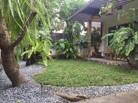 Cozy backyard with lush greenery and covered patio