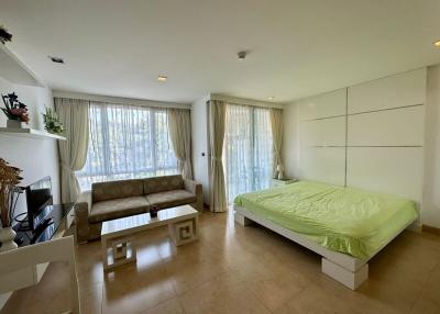 Bright and spacious studio apartment with combined living and sleeping area