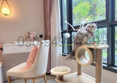Cozy bedroom with large windows and a pet cat resting on a cat tree