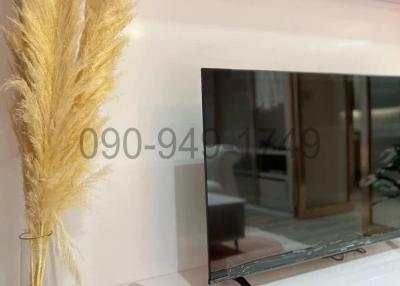 Modern living room interior with decorative pampas grass and flat-screen TV