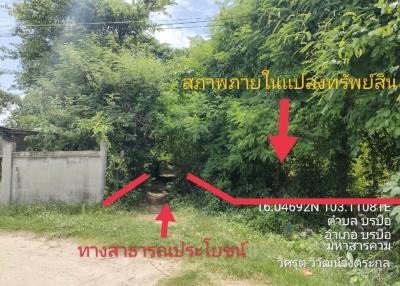 Vacant land, Ban Cham Haet