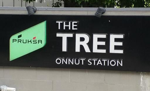 The Tree On Nut Station