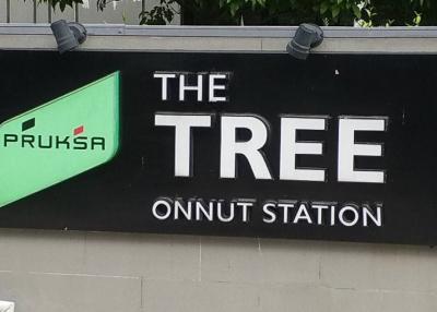 The Tree On Nut Station