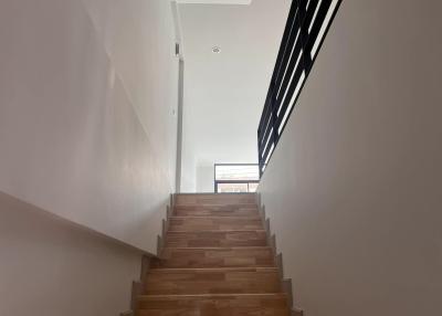Modern wooden staircase with bright natural lightning