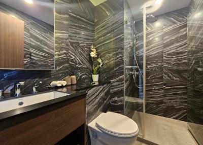 Modern bathroom with dark marble walls and glass shower cabin