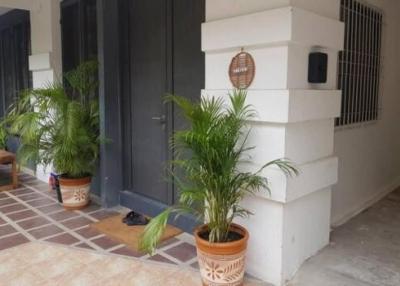 Front entryway of a residential home with potted plants