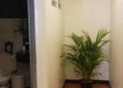 Bright and narrow hallway leading to rooms with indoor plant decoration