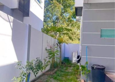 Small outdoor space between buildings with greenery and a trash bin