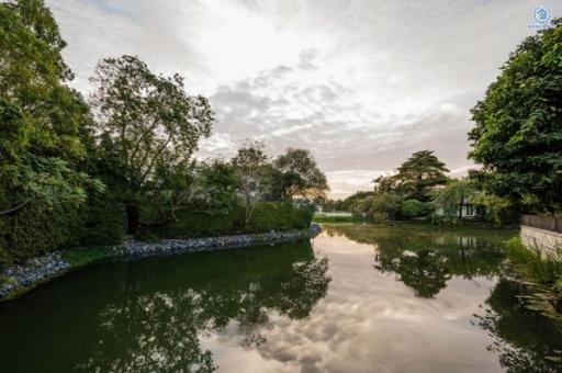 Serene pond with surrounding greenery and reflection of the sky