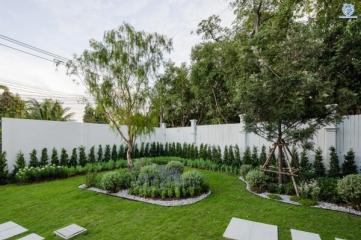 Well-manicured garden with landscaped plants and stepping stones